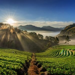 Kerala’s Scenic Tapestry Expedition